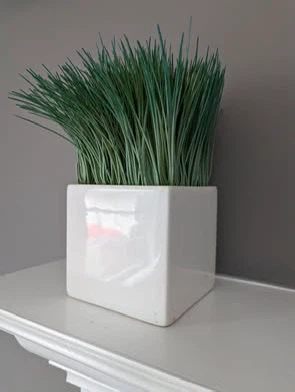 Artificial Grass Plant in White Pot - Easy Home Decor