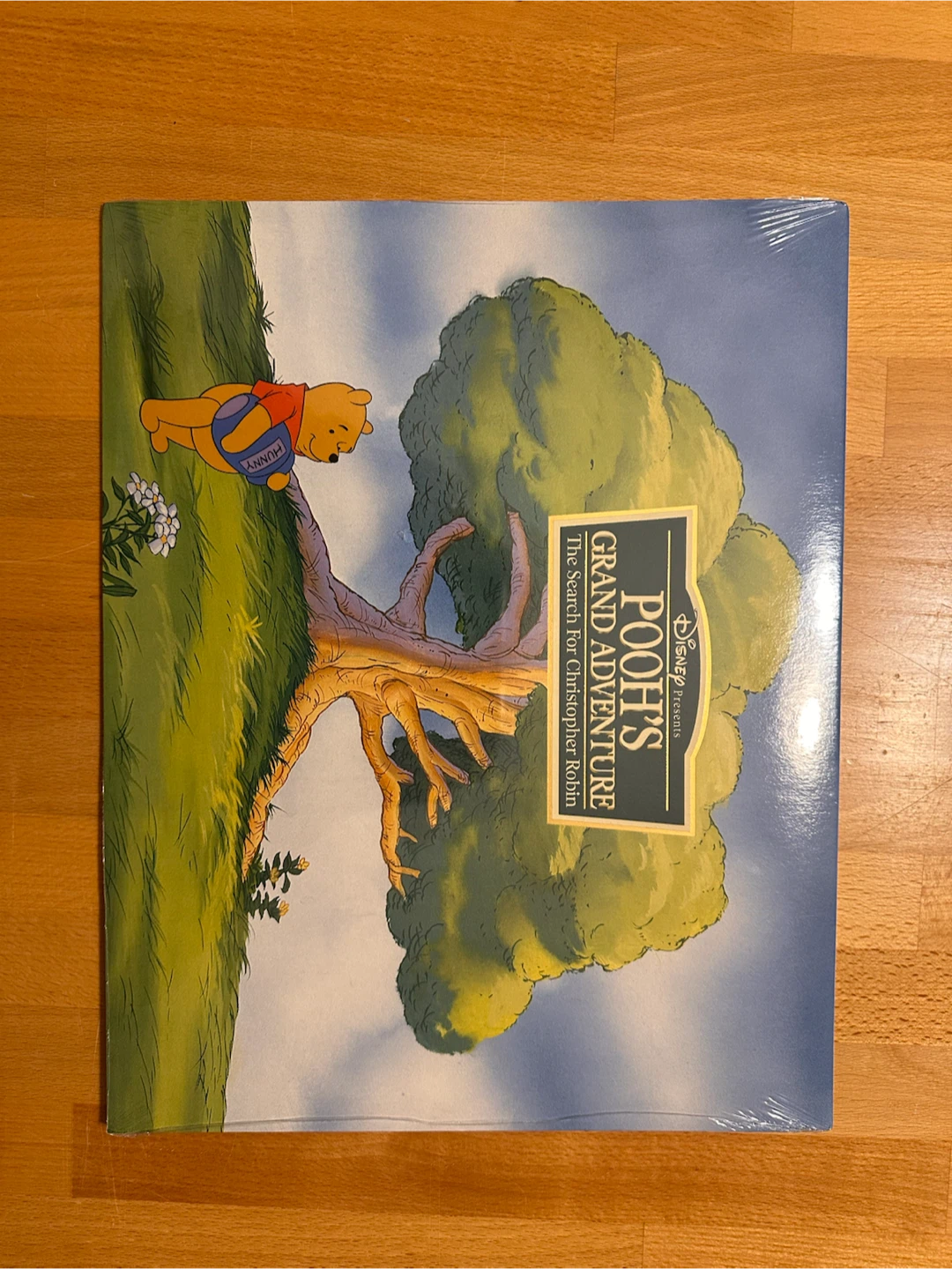 Disney Pooh's Grand Adventure Lithograph Portfolio