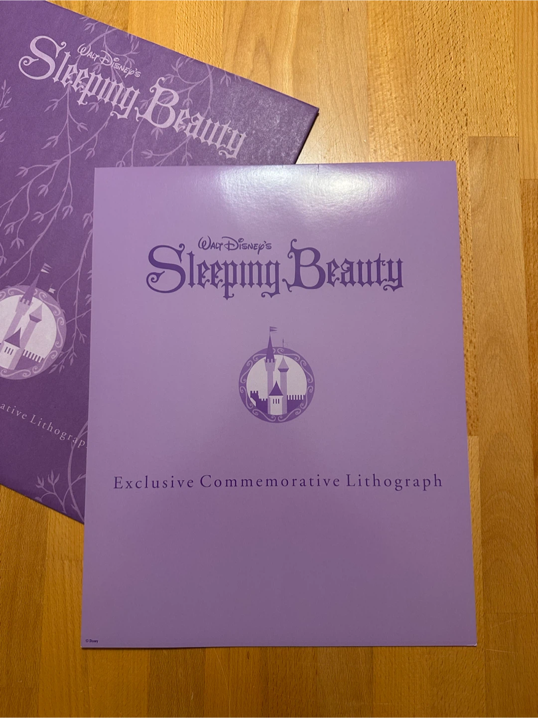 Walt Disney Sleeping Beauty Commemorative Lithograph