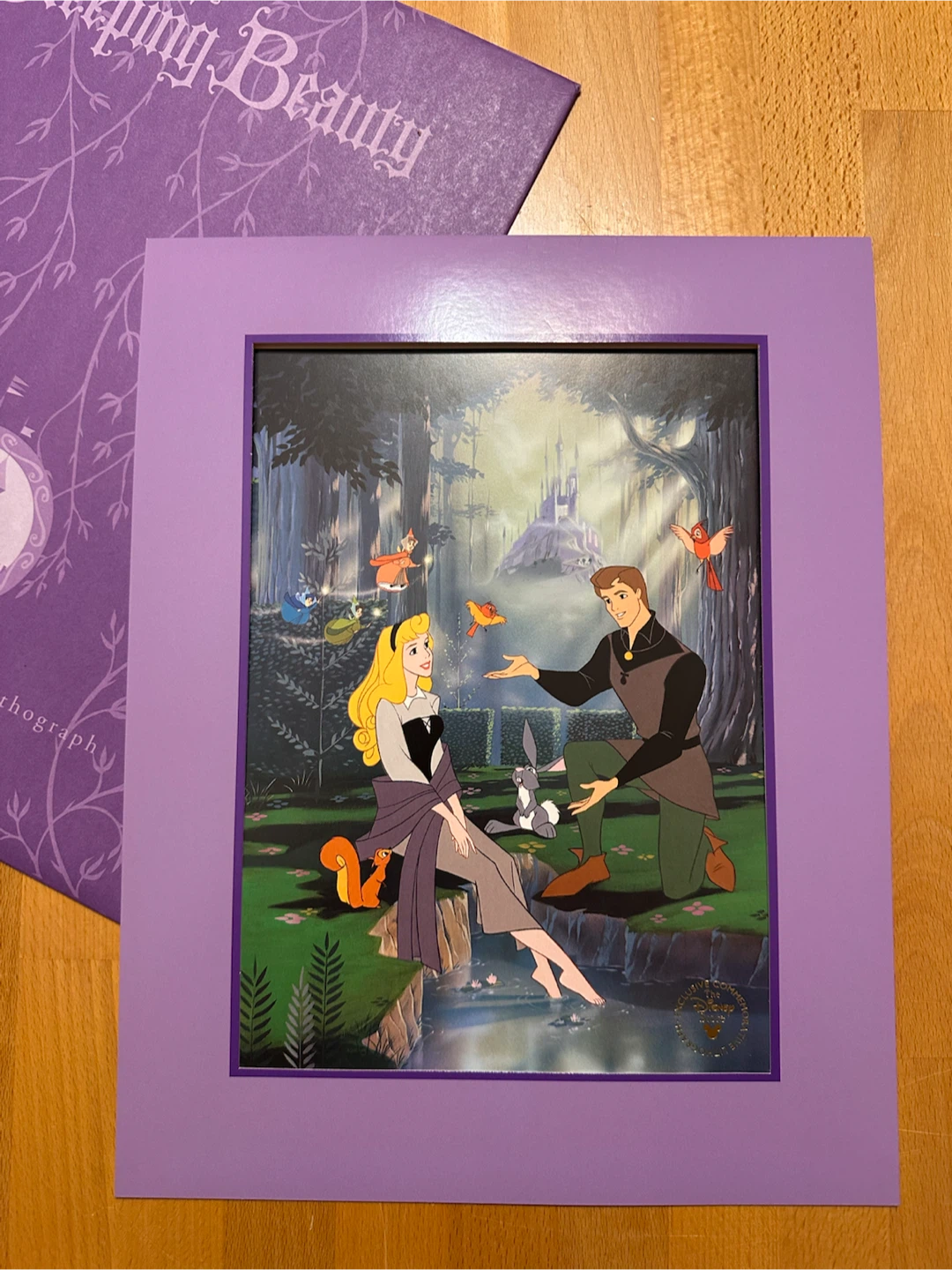 Walt Disney Sleeping Beauty Commemorative Lithograph - photo 3