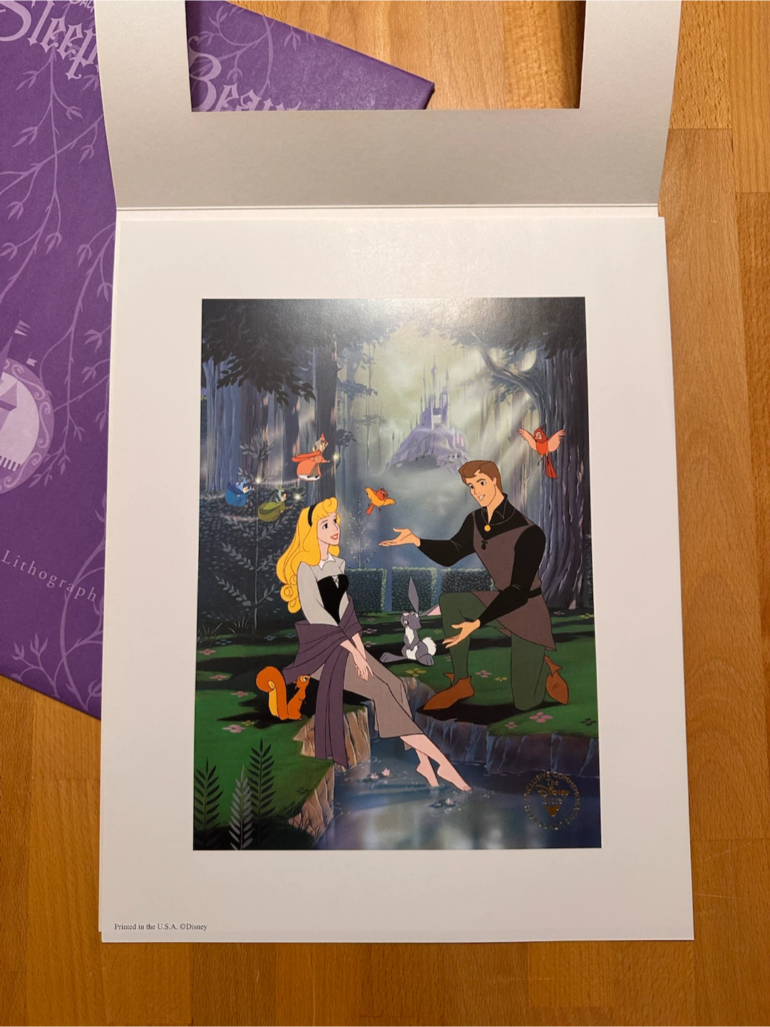 Walt Disney Sleeping Beauty Commemorative Lithograph - photo 4