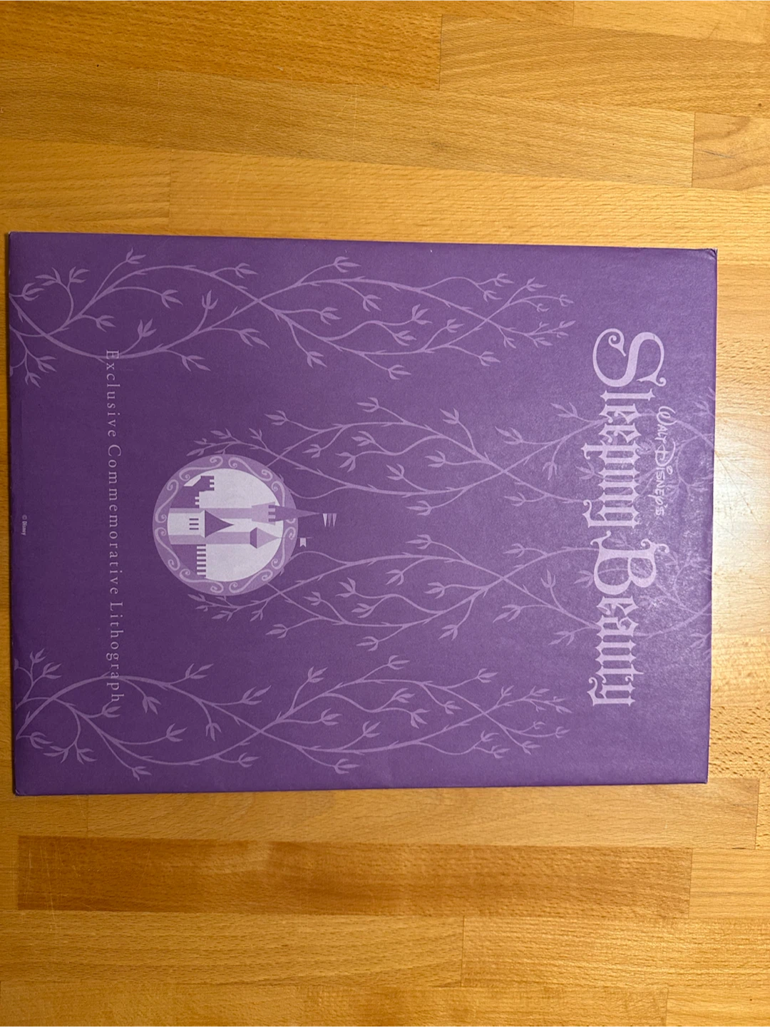 Walt Disney Sleeping Beauty Commemorative Lithograph - photo 5