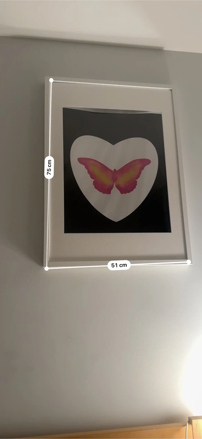 Set of two butterfly heart framed art prints - photo 2