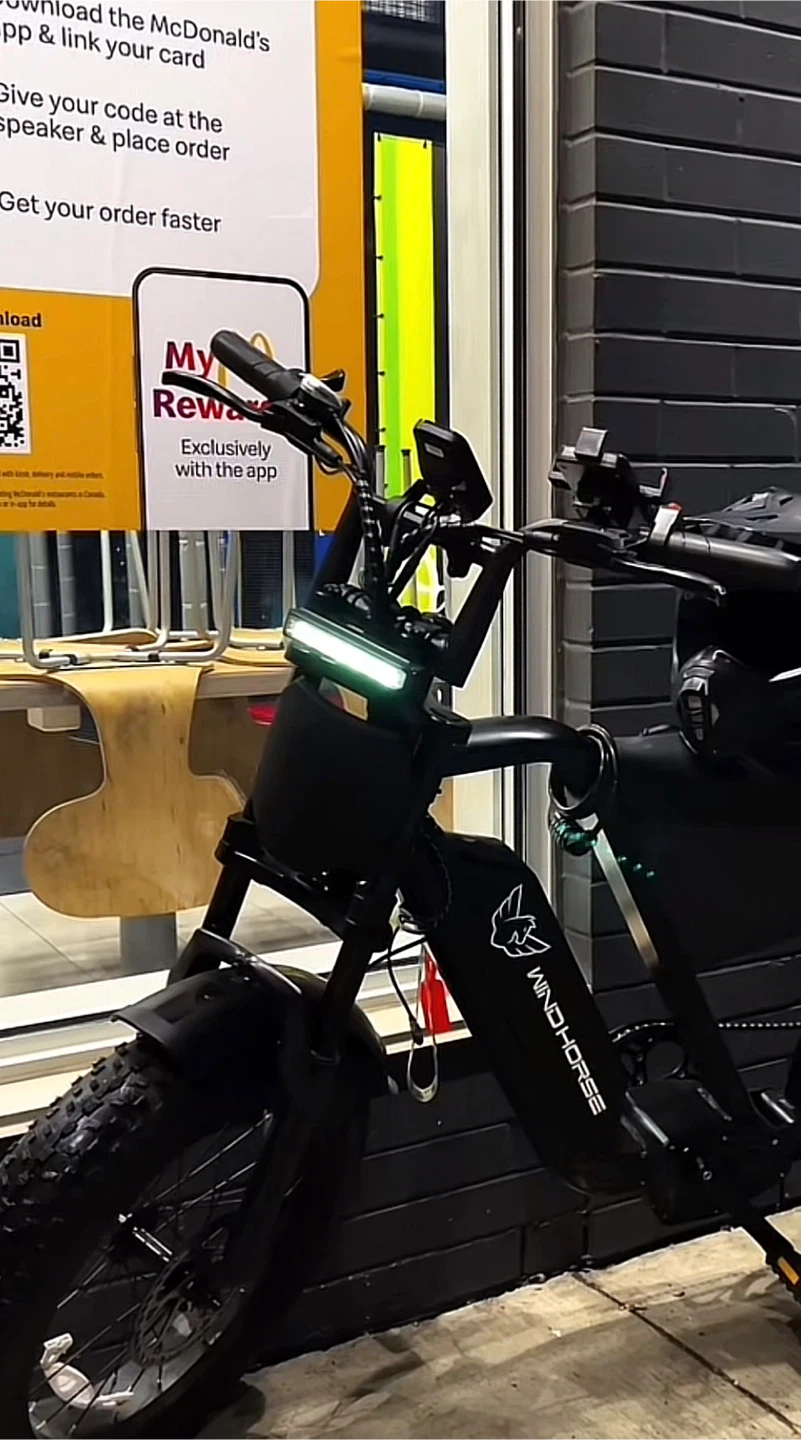 Windhorse D3 Electric Bike - photo 2