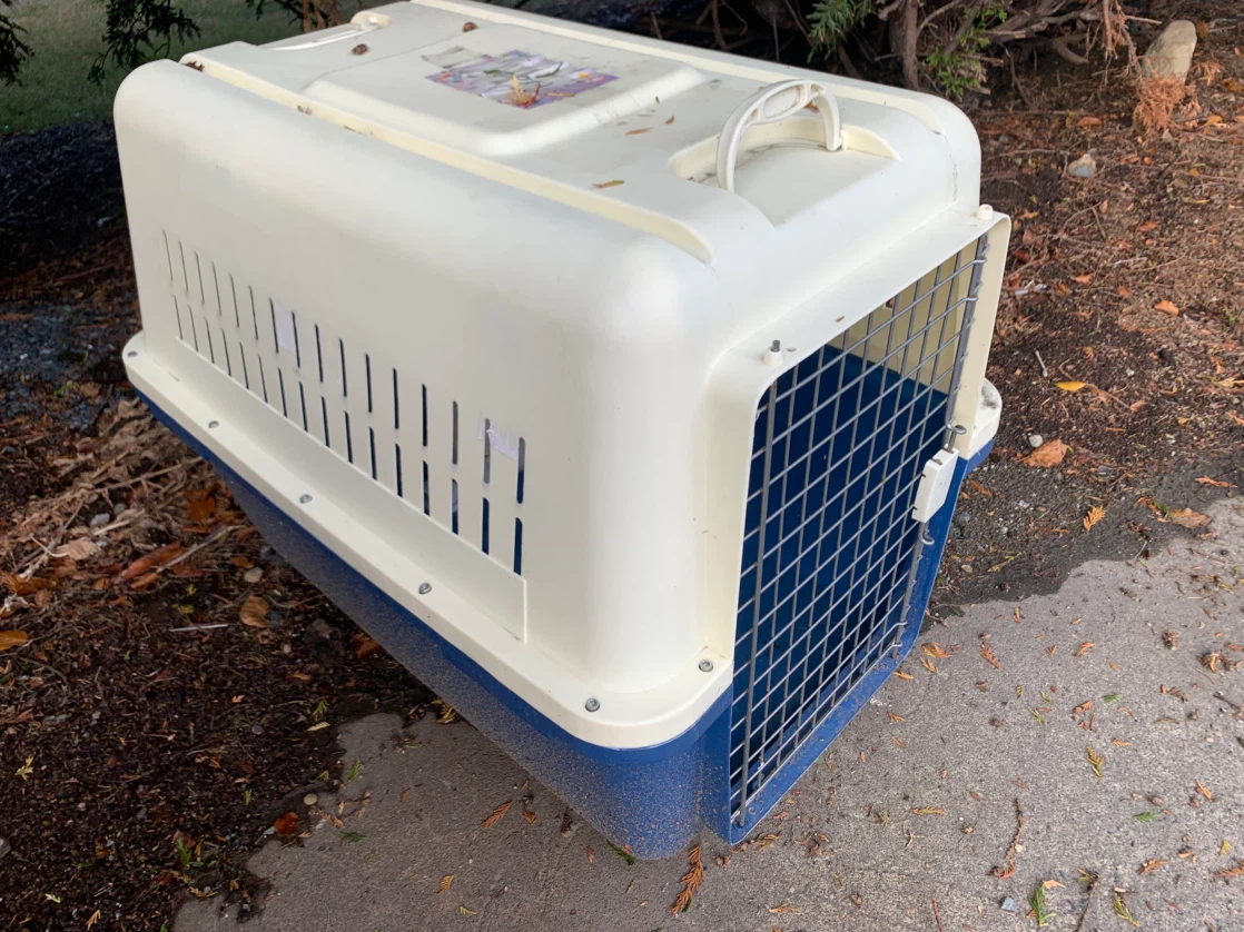 Pet Carrier for Cats or Small Dogs
