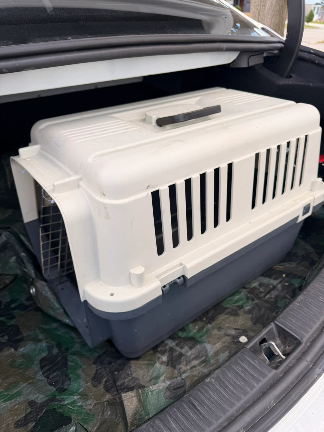 Petmate Dog and Cat Carrier