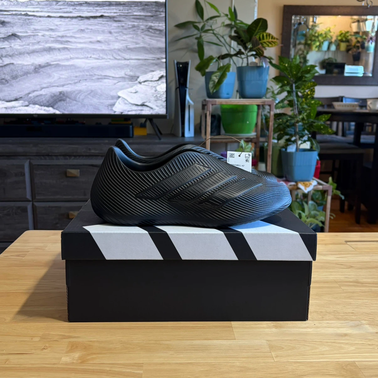 Adidas Purechill Shoes Junior