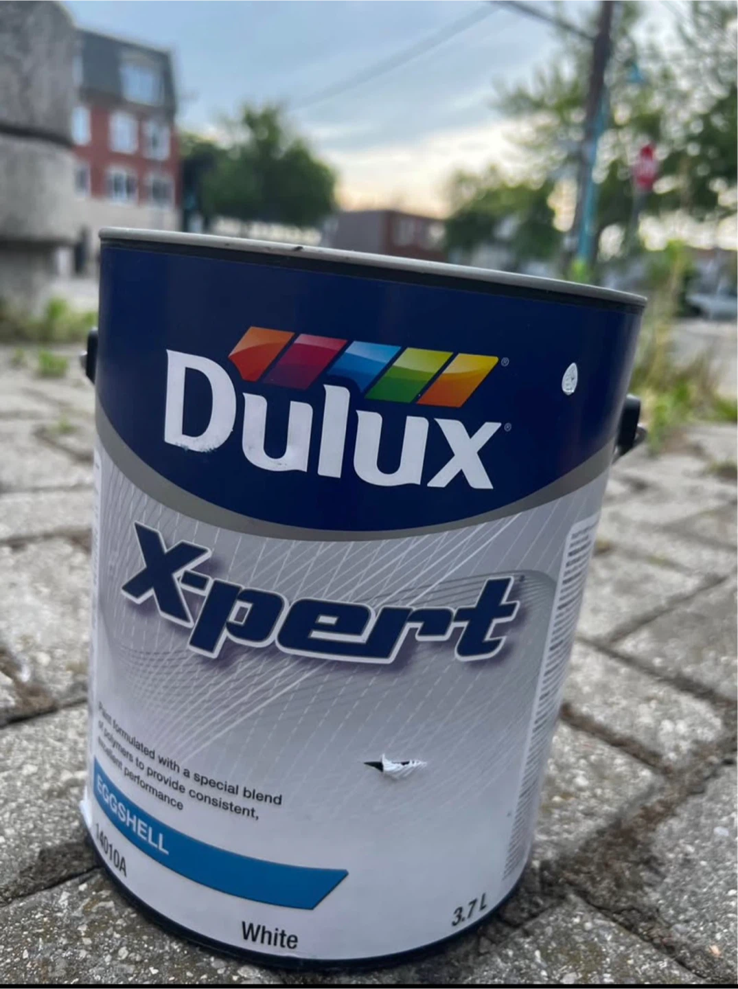 Paint
