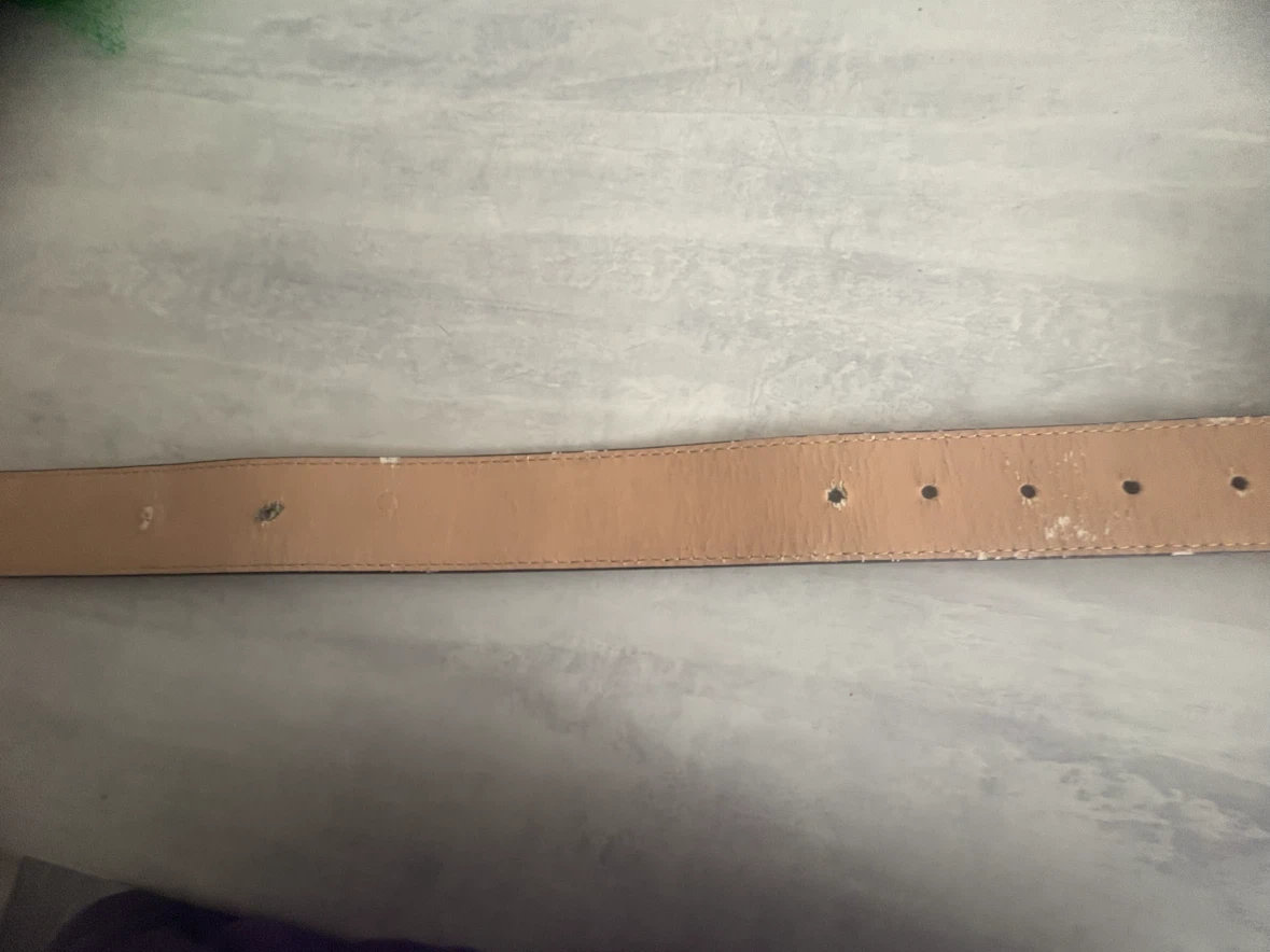 Louis Vuitton (LV) belt - photo 4