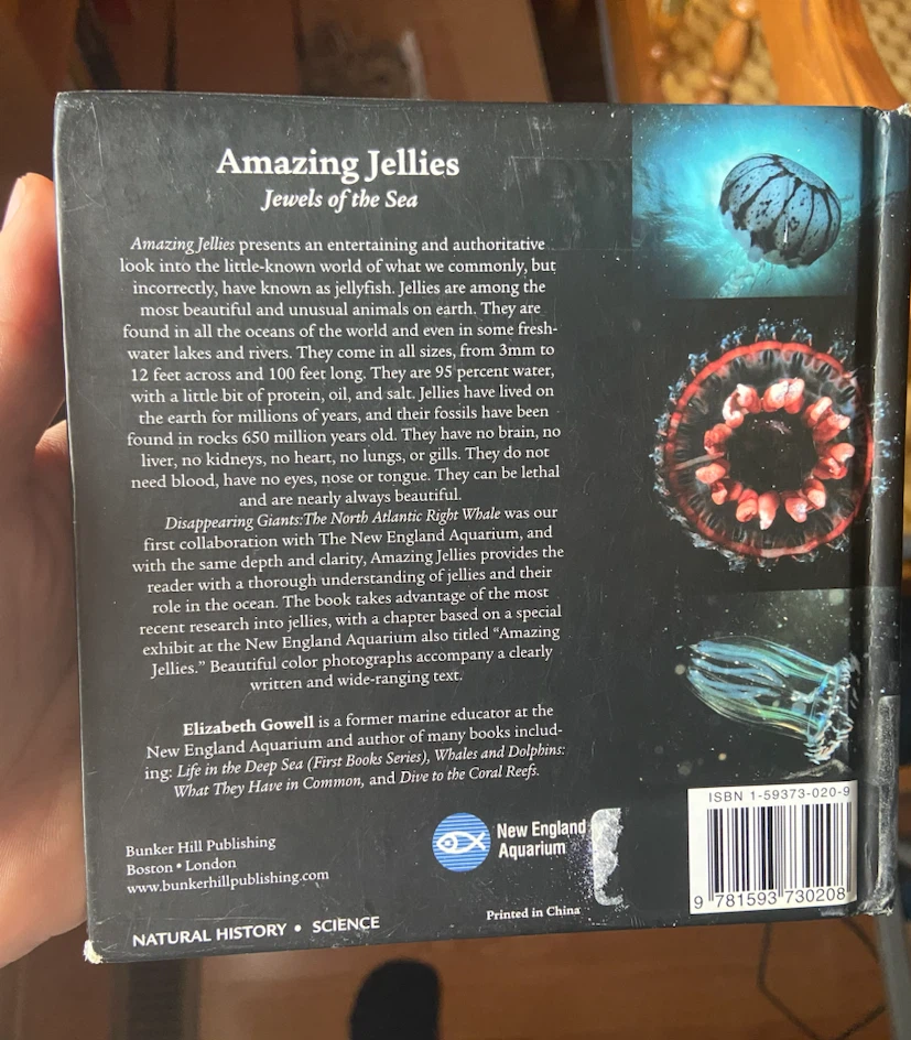Amazing Jellies: Jewels of the Sea by Elizabeth Gowell - photo 3