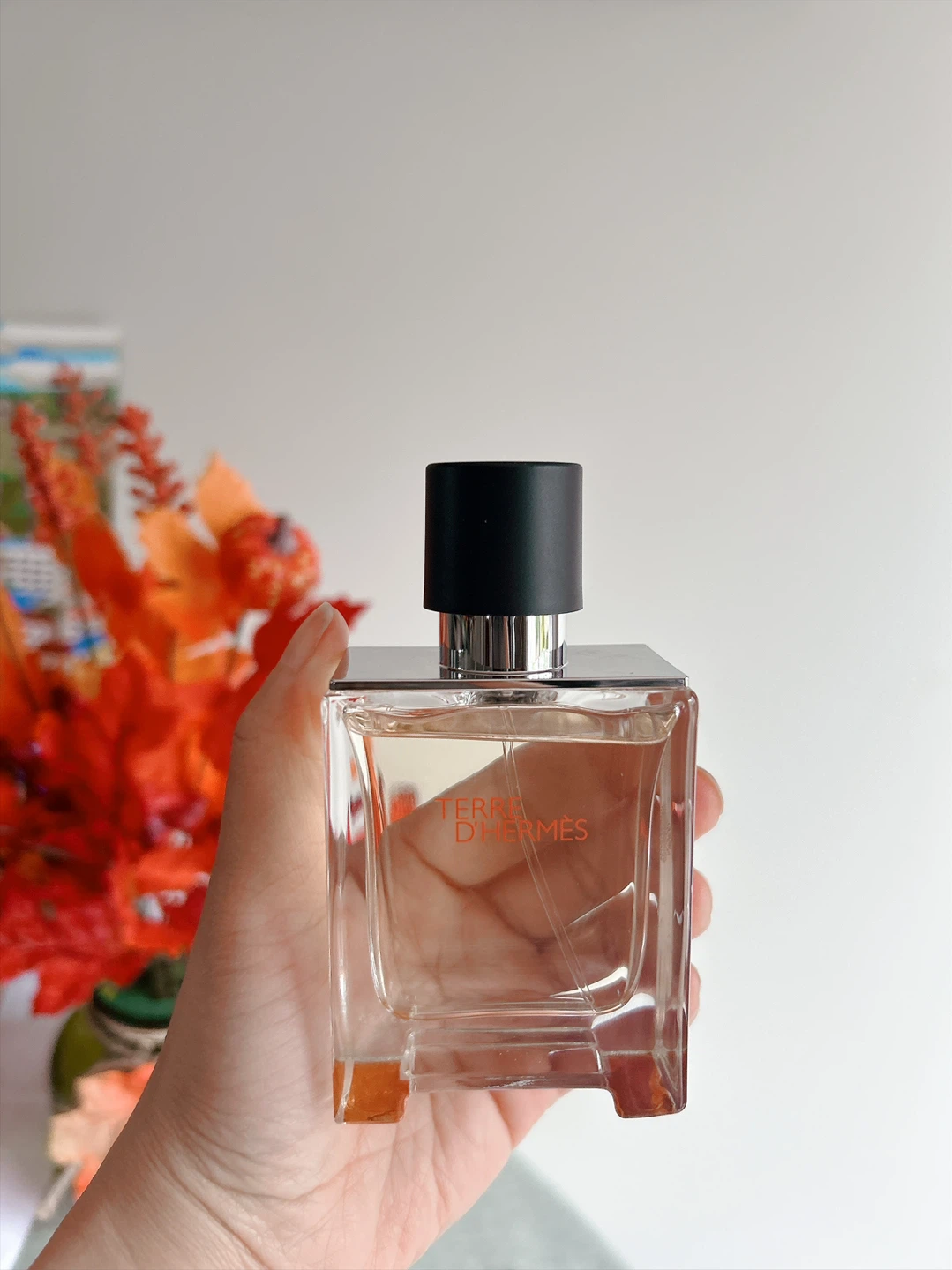 Terre d'Hermès Eau de Toilette 50ml - photo 2