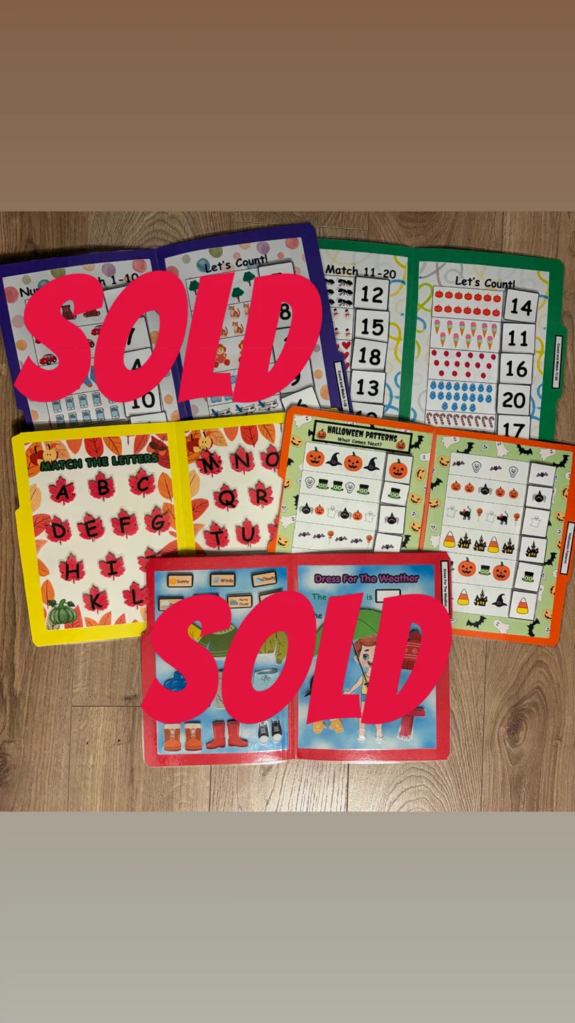 3 Folder Activities $20 for bundle, or $7 each