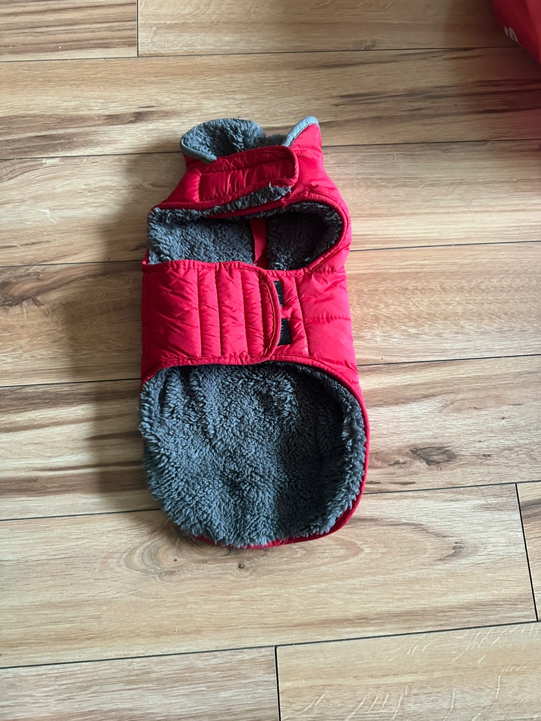 Matilor Small Dog Harness and Red winter Jacket -xs/Set