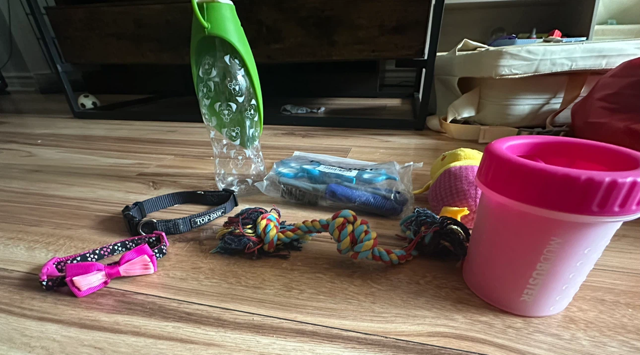 Dog grooming and toy accessory bundle