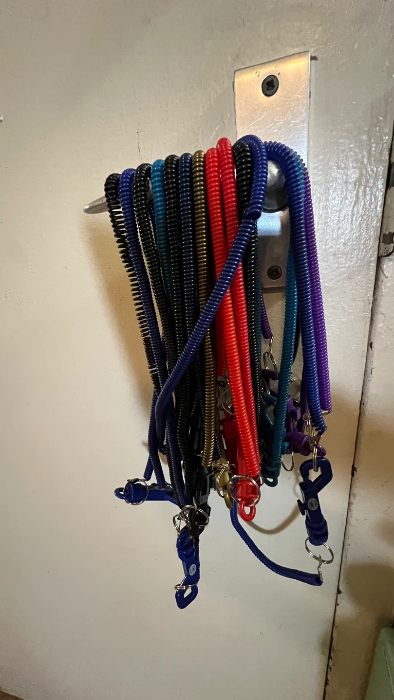 Assorted Coil Keychain Lanyards-16 - photo 2
