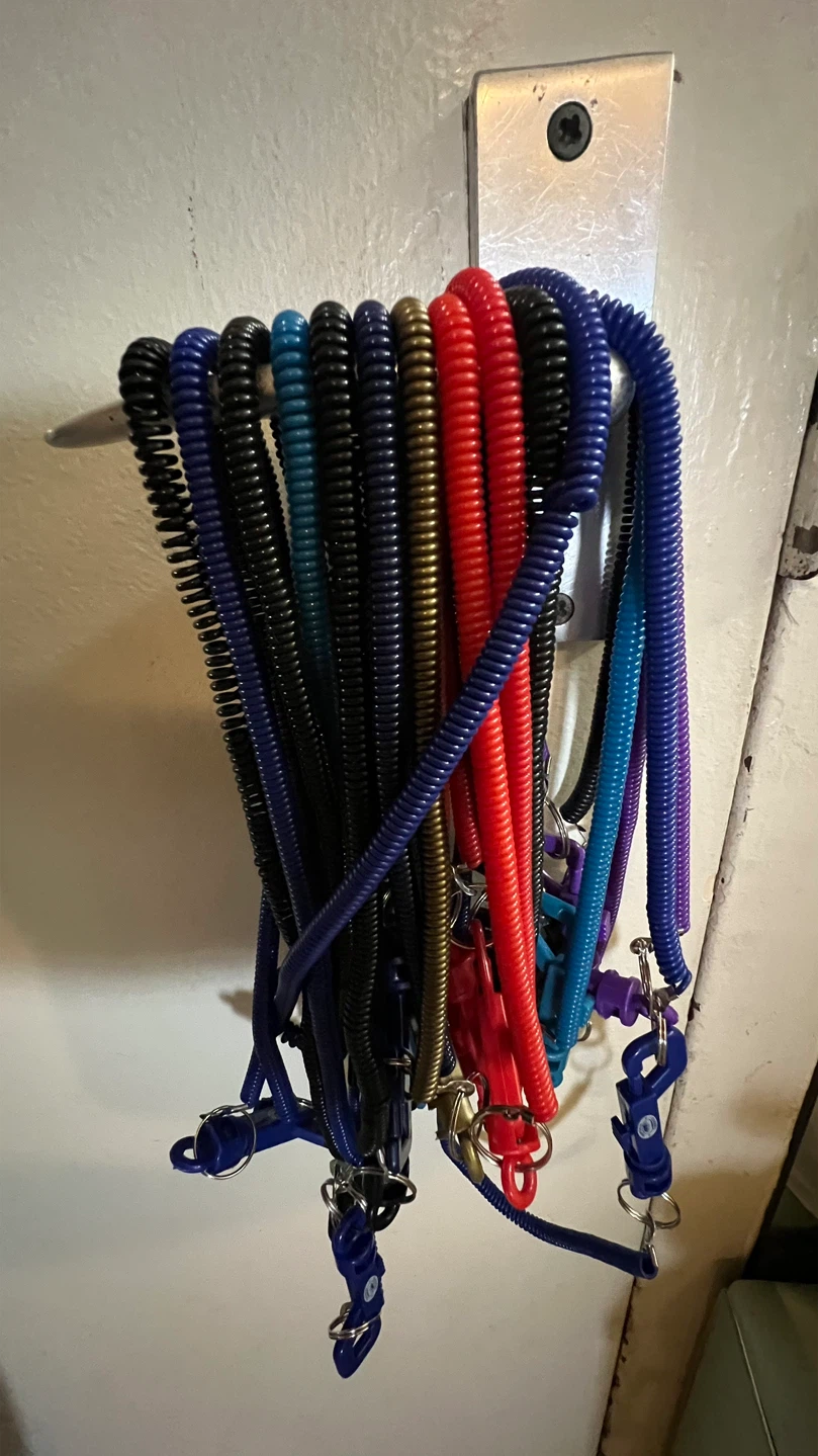 Assorted Coil Keychain Lanyards-16 - photo 3