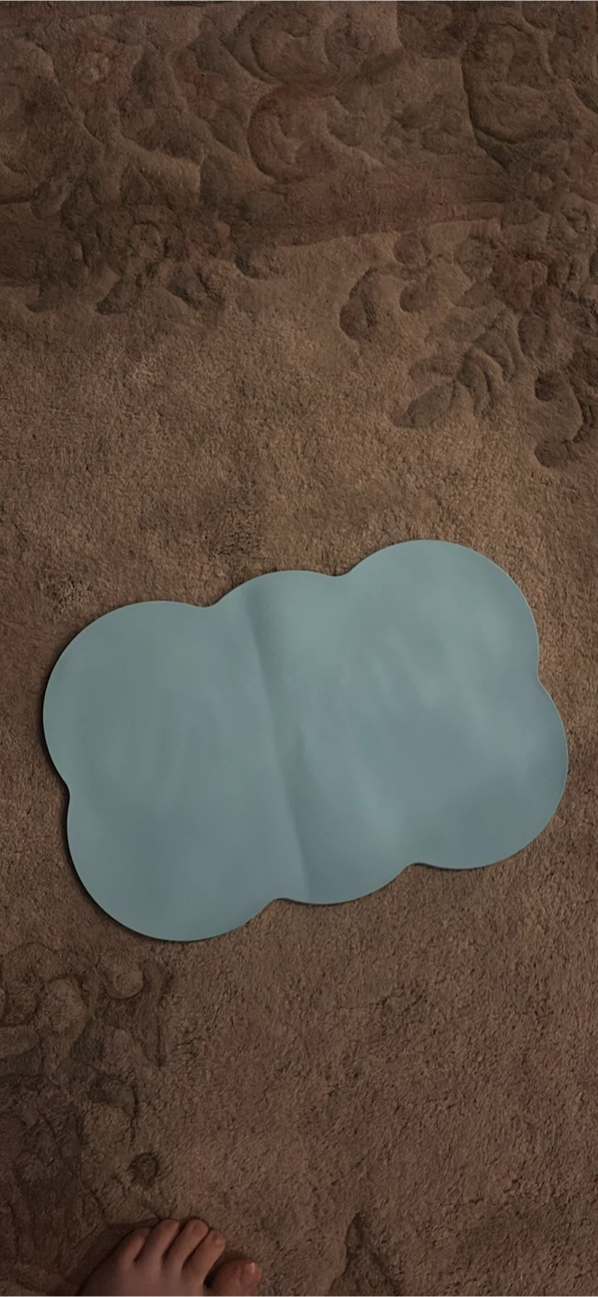 Dog food bowl placemat