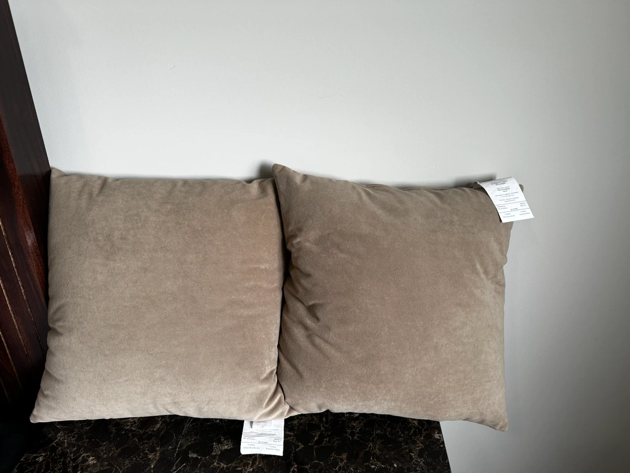 Set of Two Beige Polyester Throw Pillows