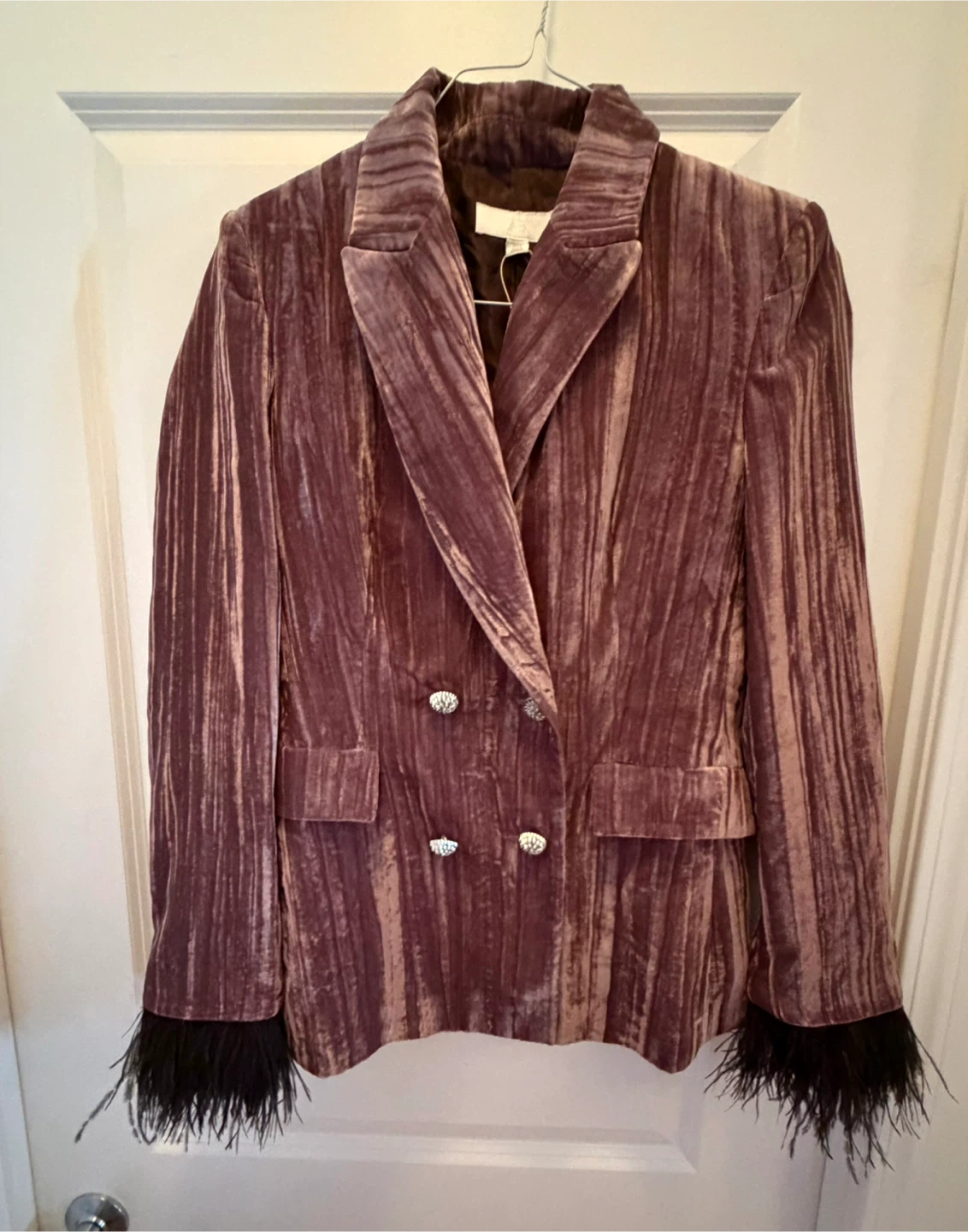 Zara Limited Edition Velvet Feather Blazer Small - photo 4