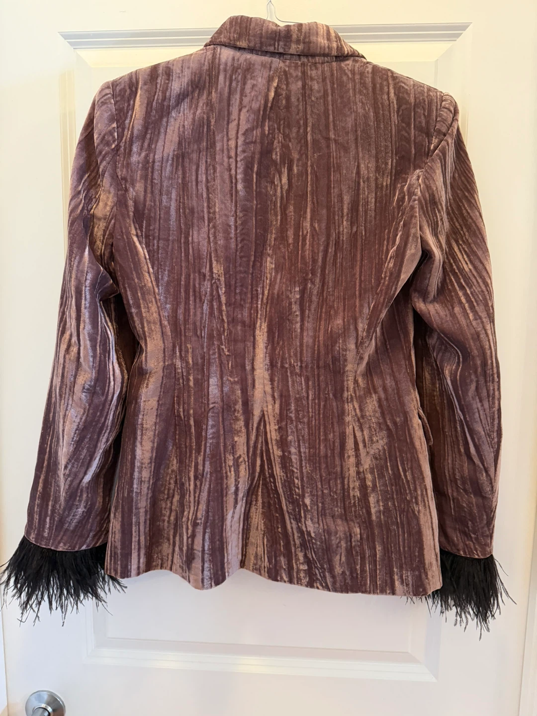 Zara Limited Edition Velvet Feather Blazer Small - photo 5