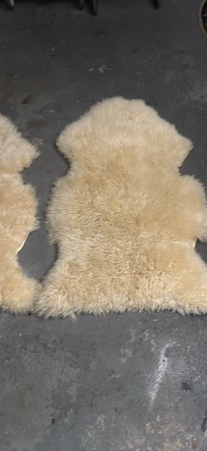 Area rugs - photo 3