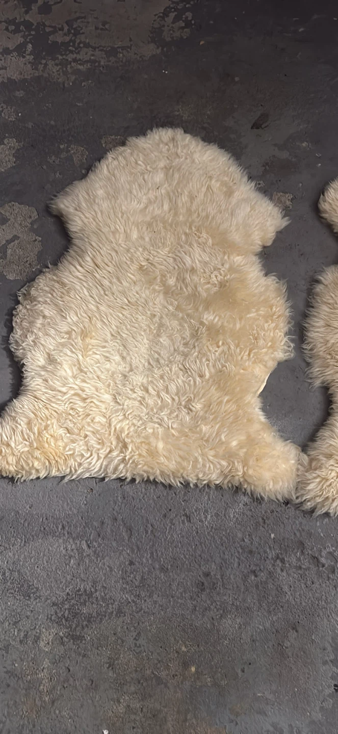 Area rugs - photo 4