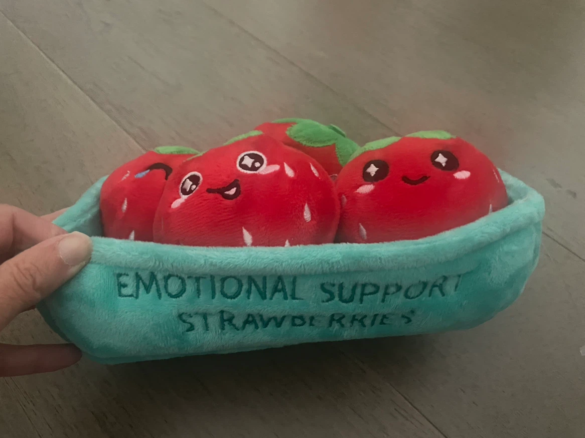 NEW! What Do You Meme Emotional Support Strawberries