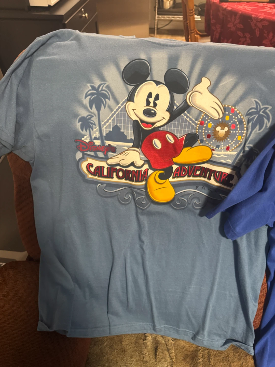 DisneyWorld T-shirts. XL. - photo 2