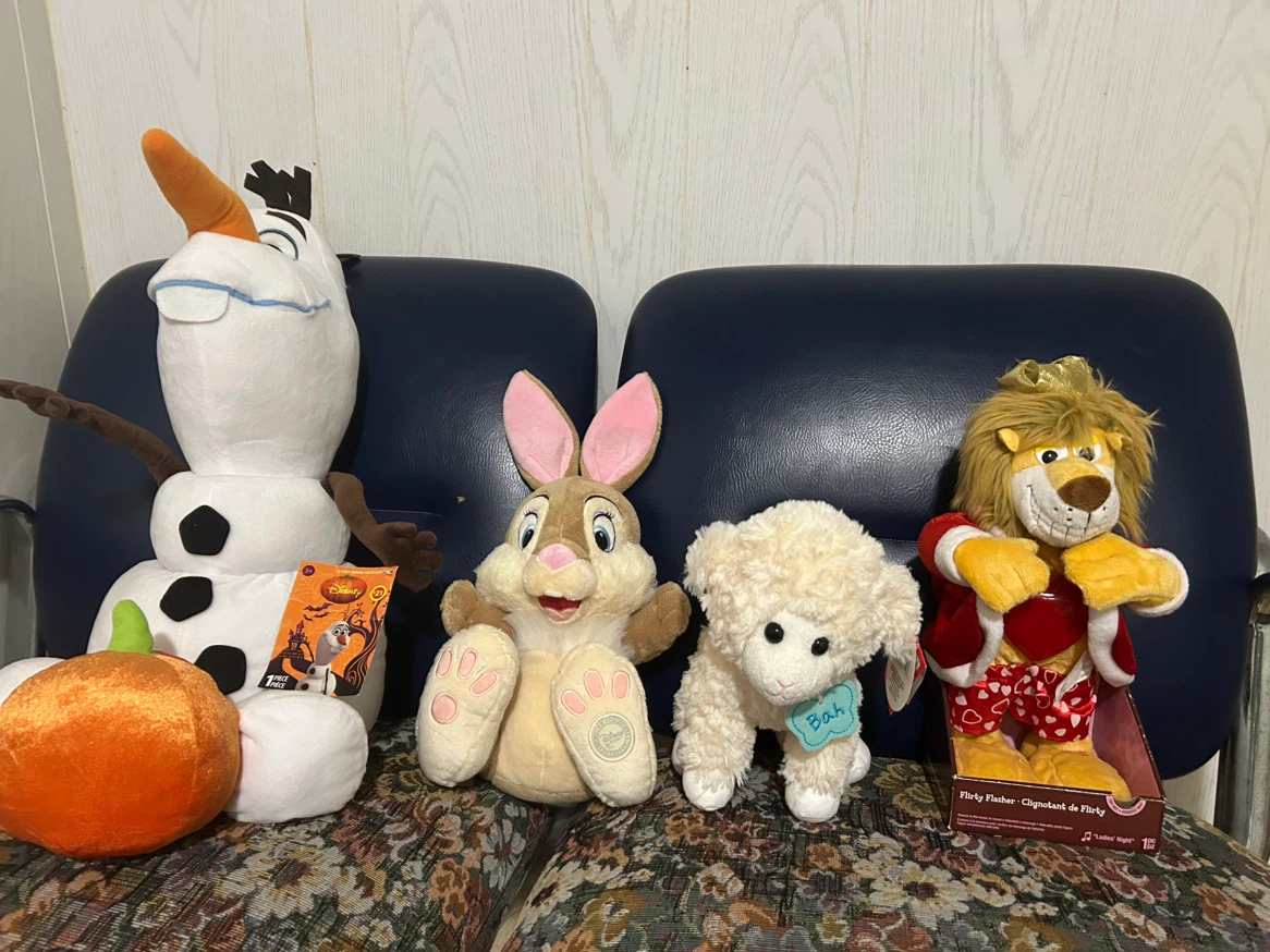Assorted Plush Toys Collection