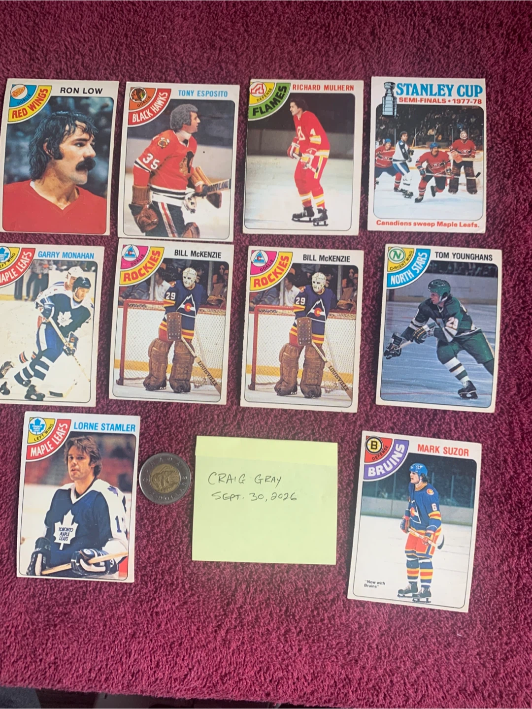 1978-79 O-PEE-CHEE HOCKEY CARDS - photo 5