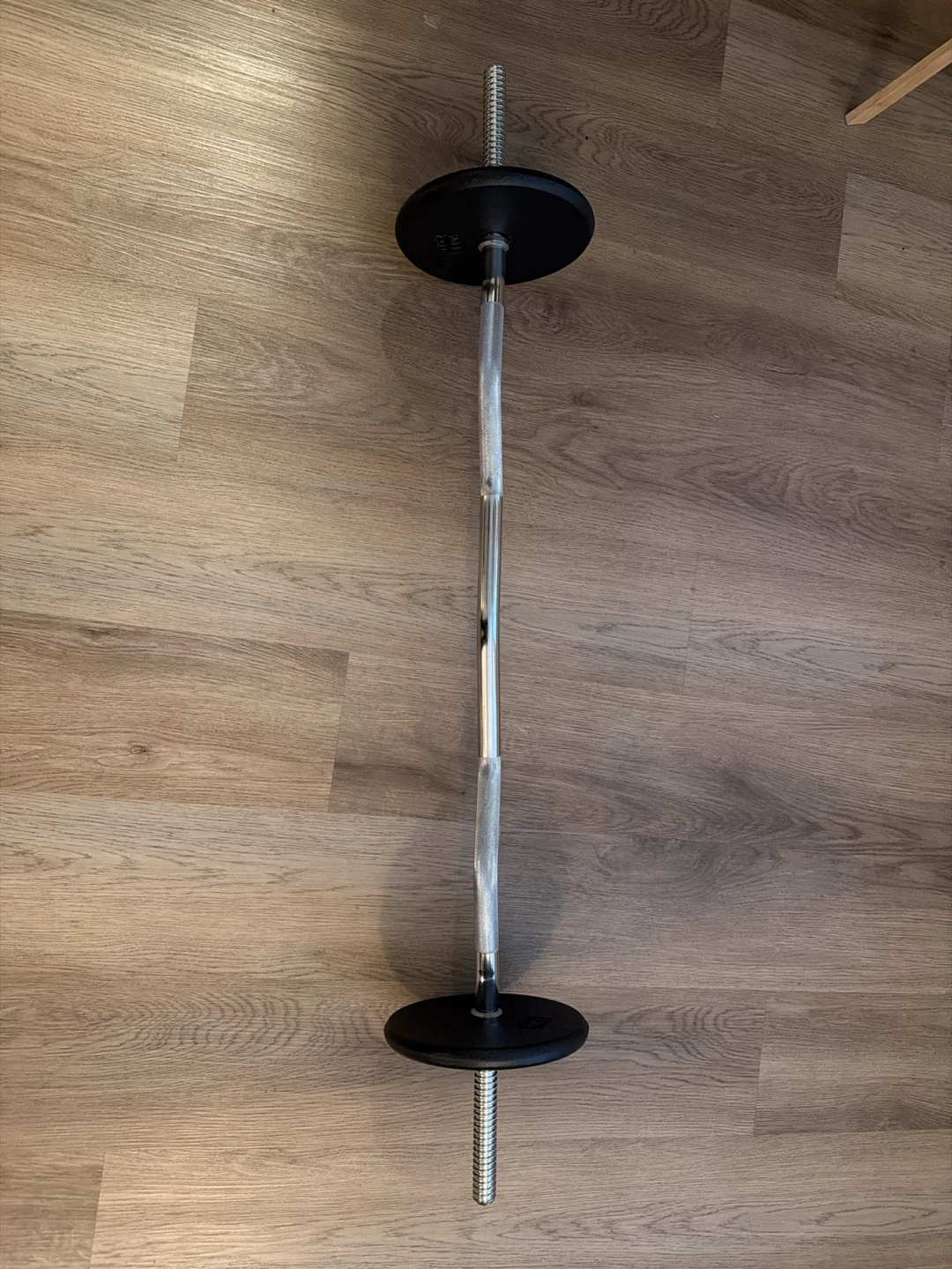 EZ Curl Bar with Weights