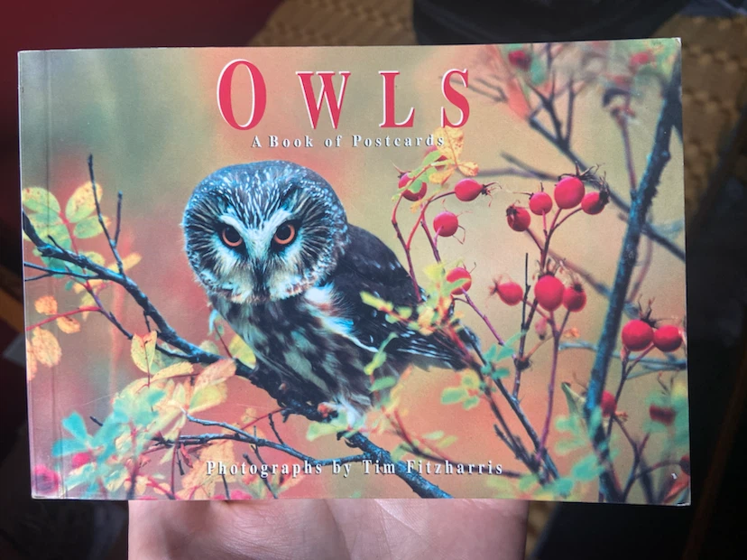Owls: A Book of Postcards by Tim Fitzharris