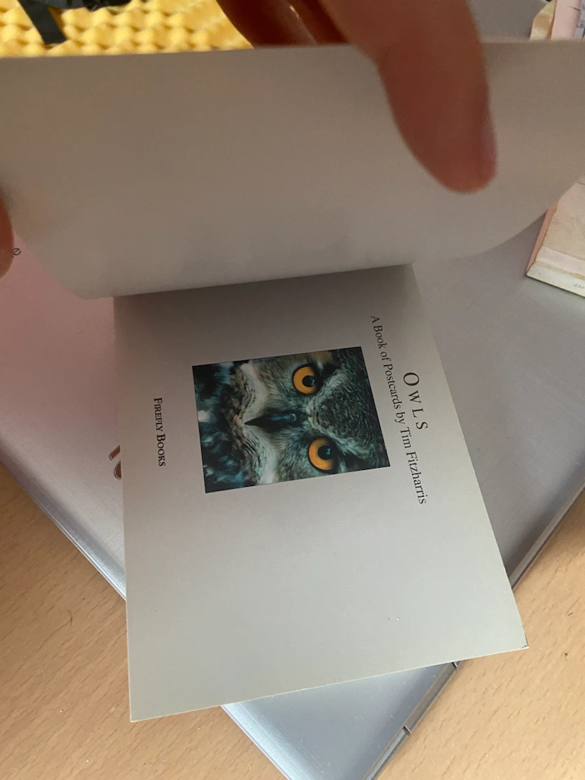 Owls: A Book of Postcards by Tim Fitzharris - photo 4