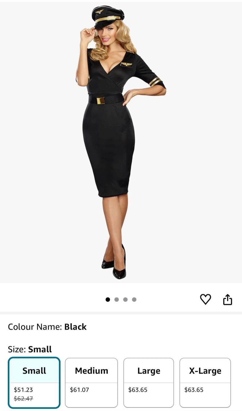 Dreamgirl Airline Captain Costume, Small