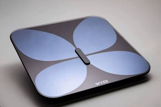 Wyze Butterfly Smart Scale - photo 2
