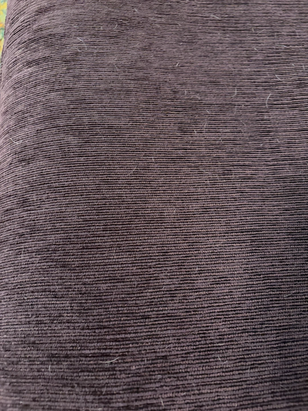Futon with Cover - photo 4
