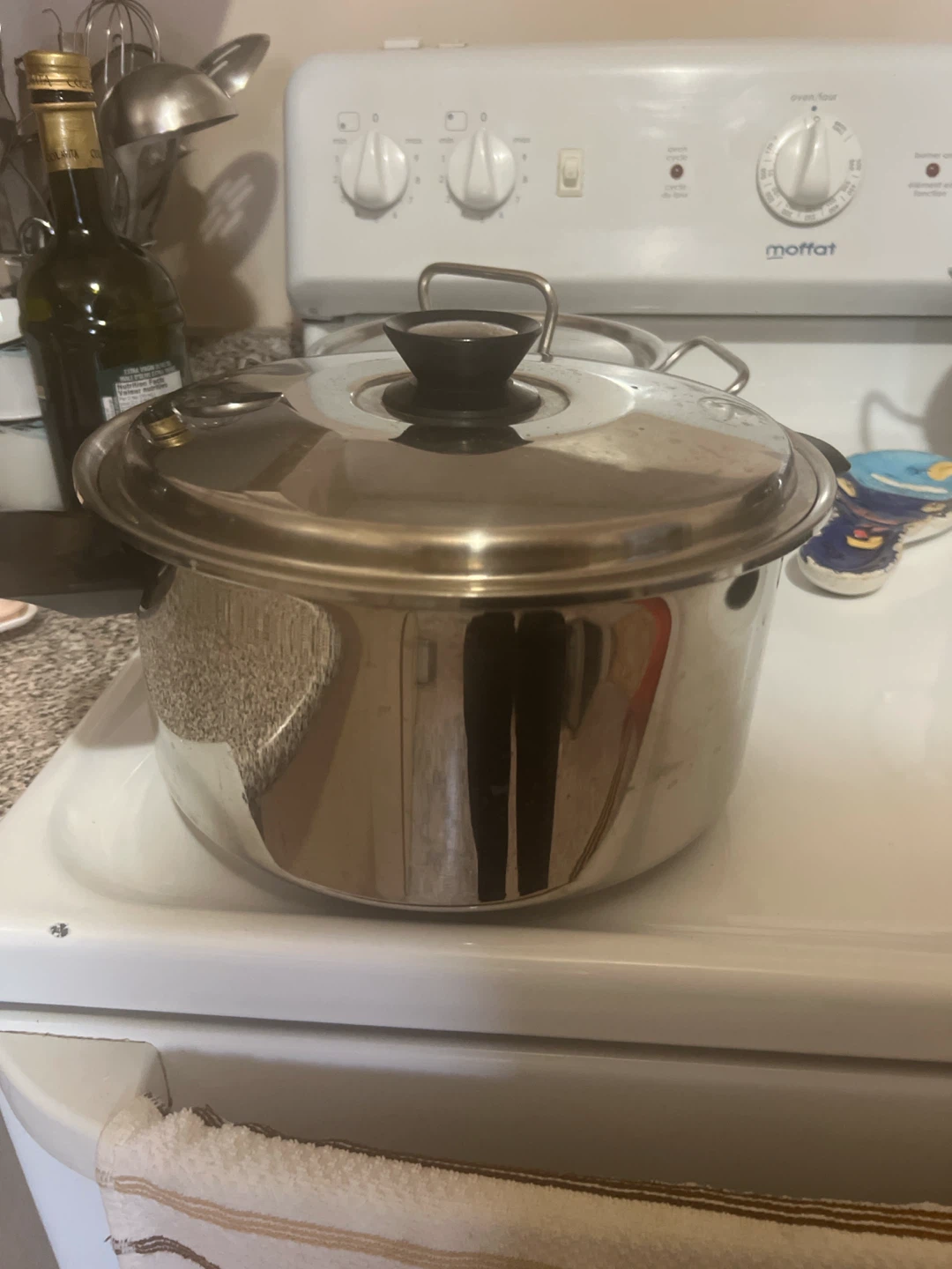 Stainless Steel Stock Pot with Lid