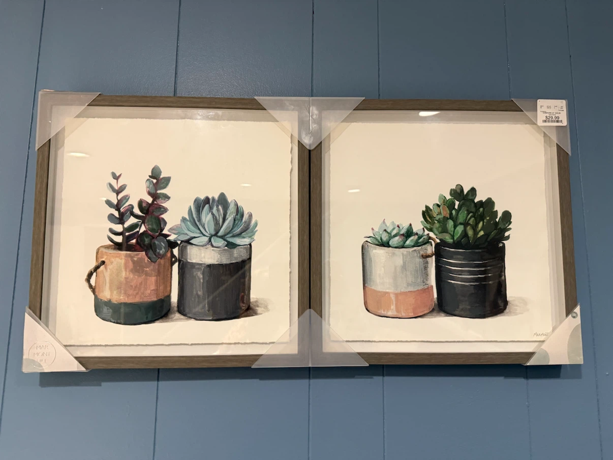 Marmont Hill Succulent Framed Wall Art Set