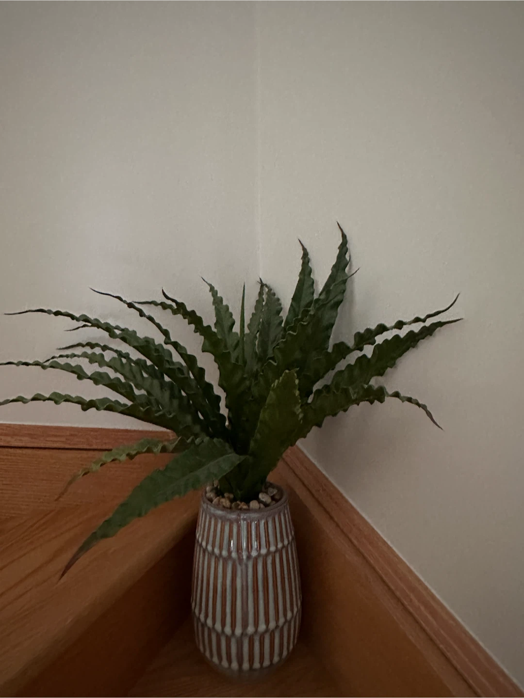 Artificial Potted Plant in Ceramic Vase
