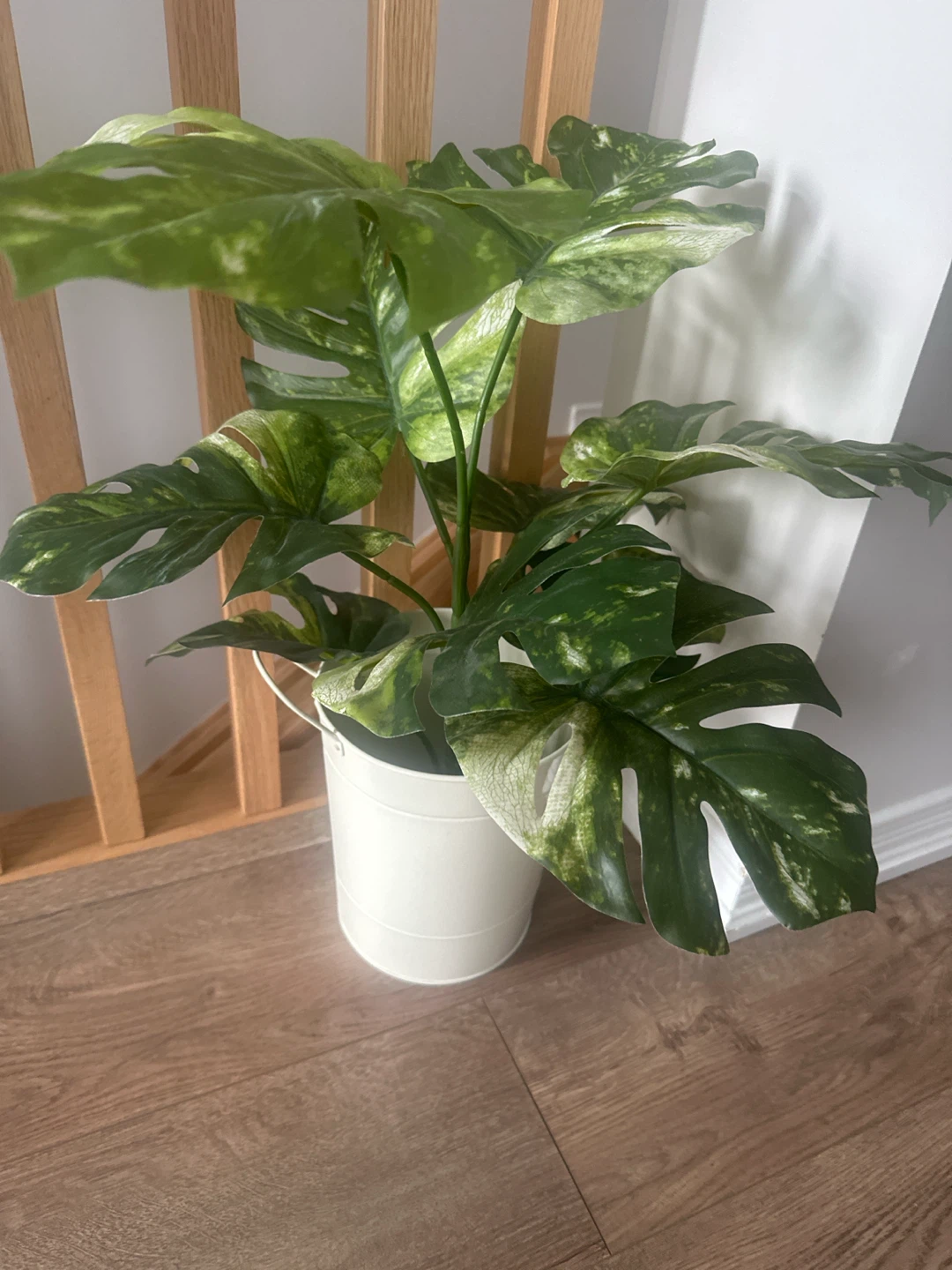 Artificial Variegated Monstera in Metal Pot