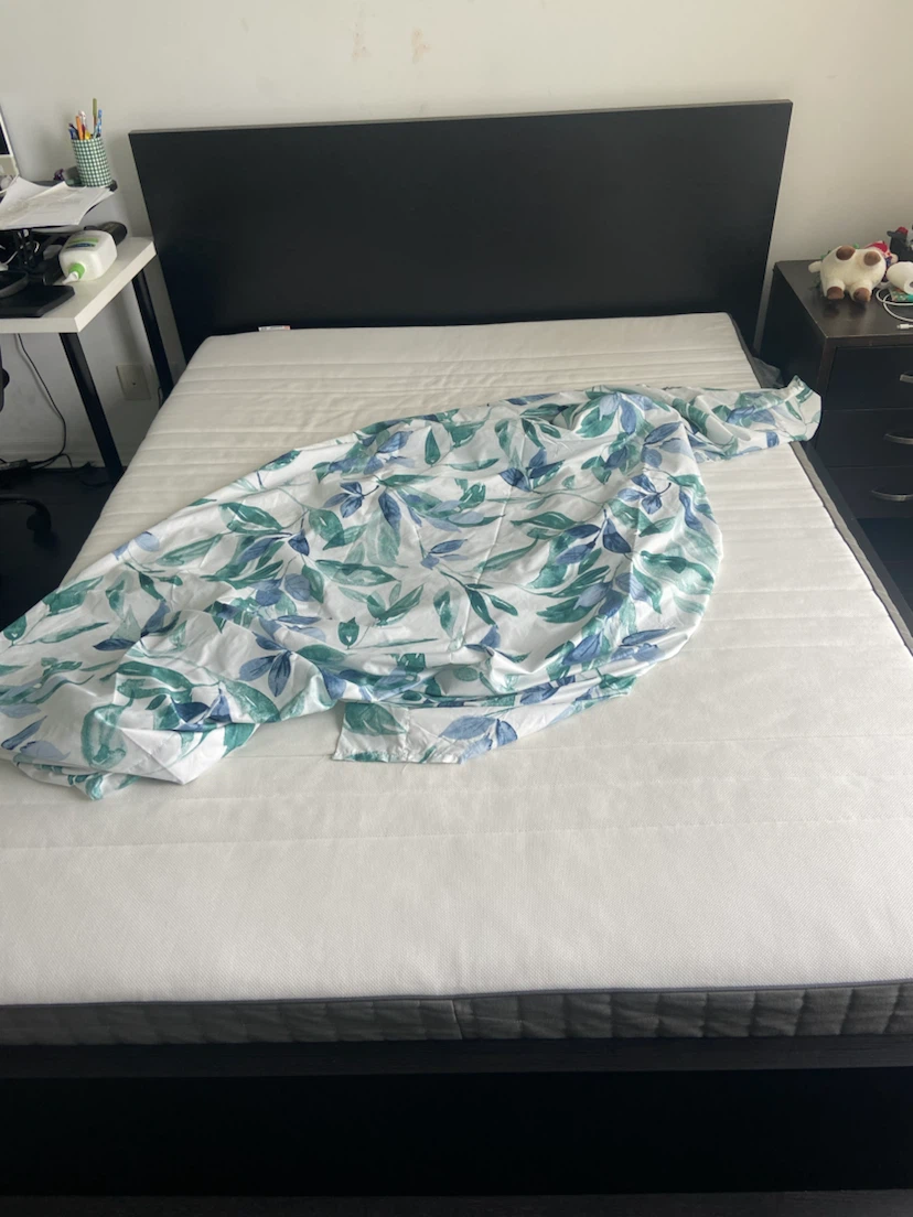 IKEA Malm Queen size bed frame with LURÖY slats