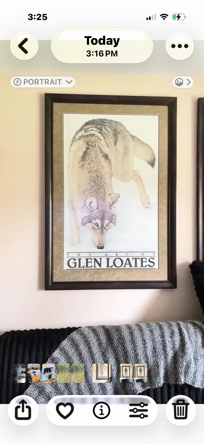 2 Glen Loates wolf prints