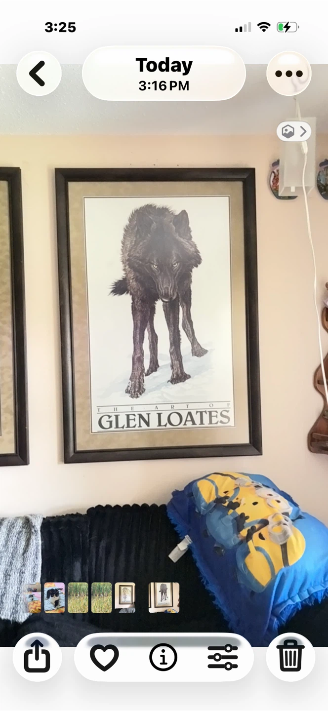 2 Glen Loates wolf prints - photo 2