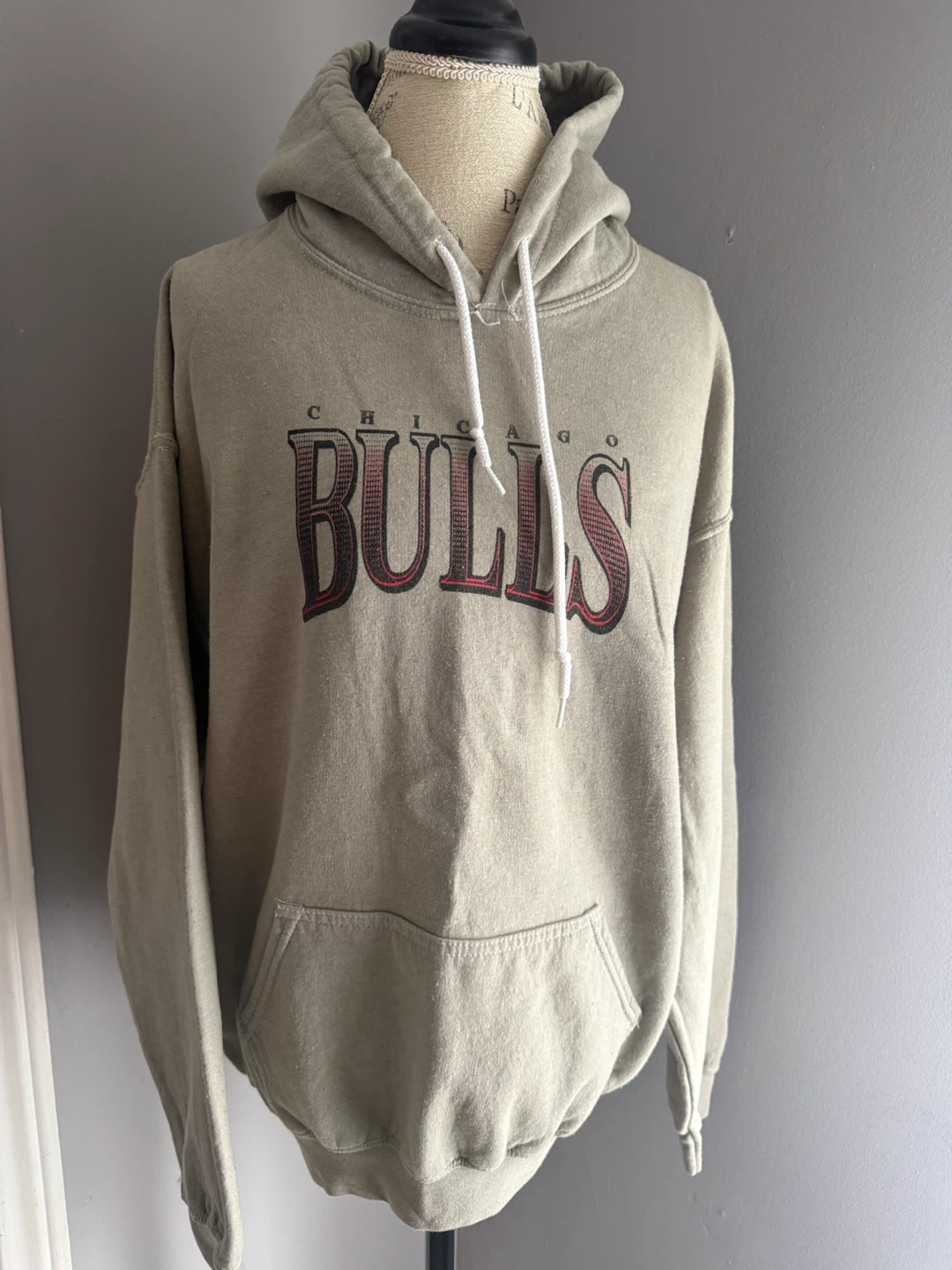 Chicago Bulls Graphic Hoodie