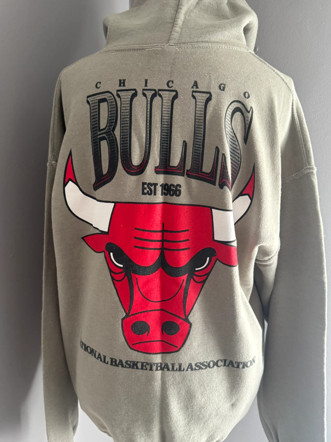 Chicago Bulls Graphic Hoodie - photo 2