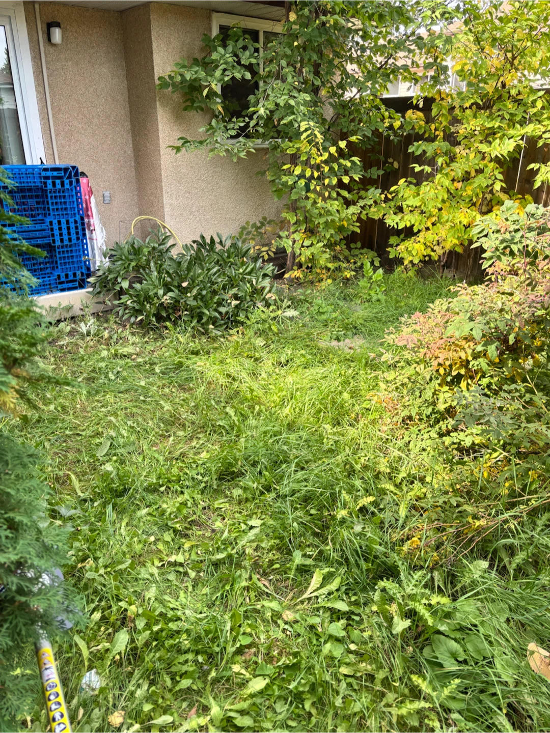 Forresters Fall & Winter Exterior Property Services - photo 2