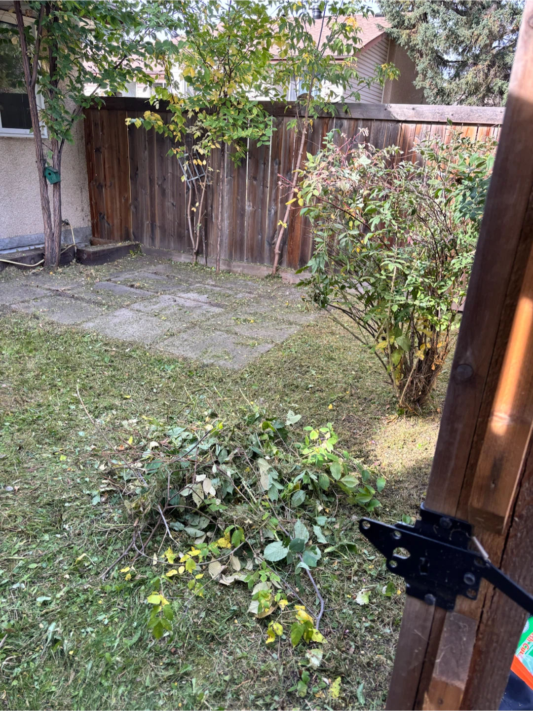 Forresters Fall & Winter Exterior Property Services - photo 3