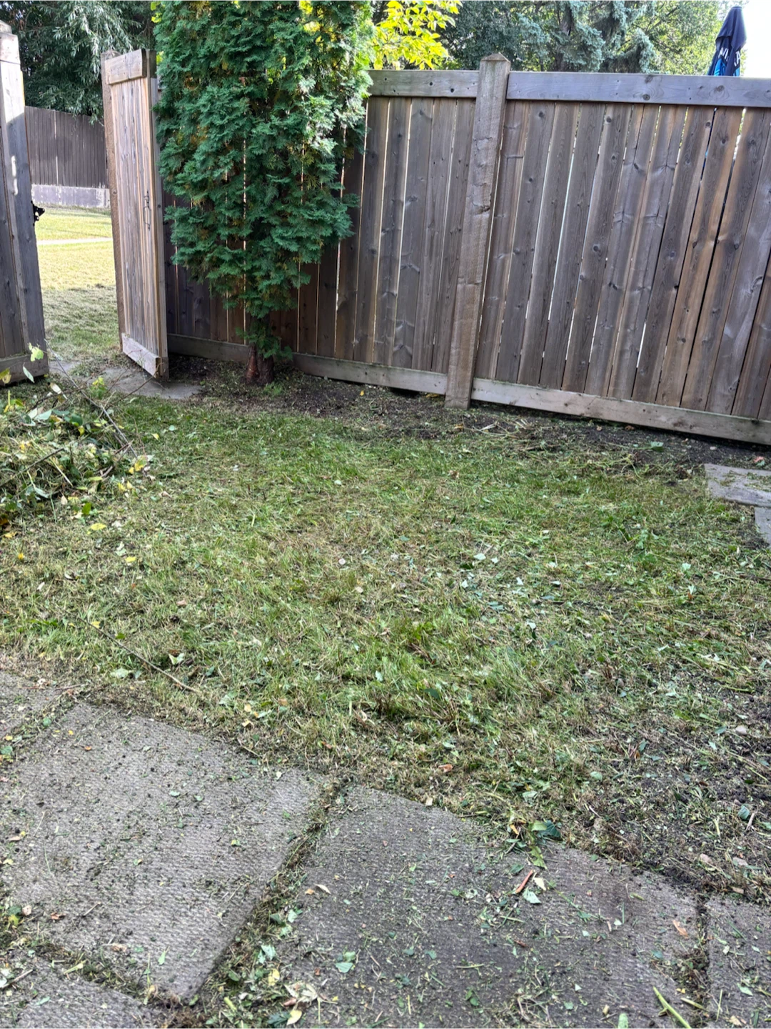 Forresters Fall & Winter Exterior Property Services - photo 4