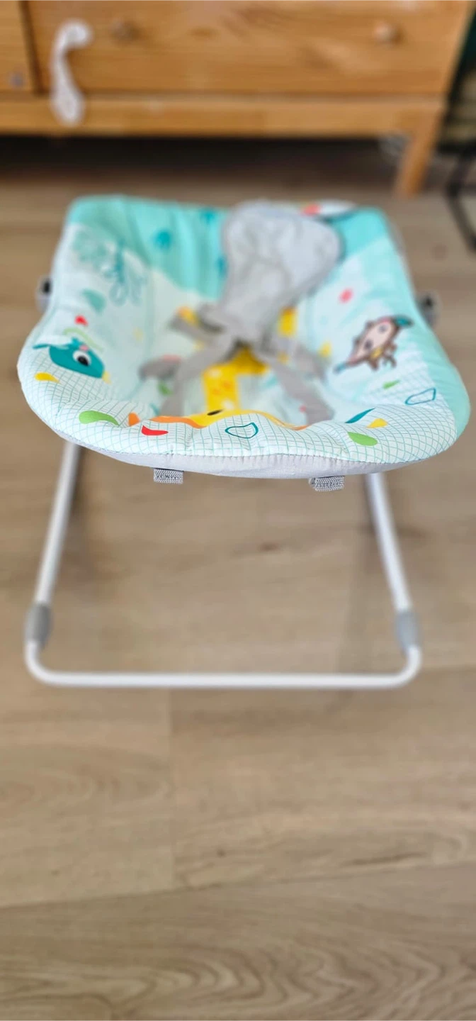 Bright Starts Wild Vibes Infant to Toddler Rocker, 0 -30 months