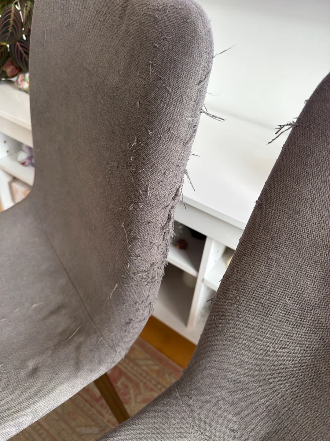 4 Grey Dining Chairs free, used, cat scratches - photo 4